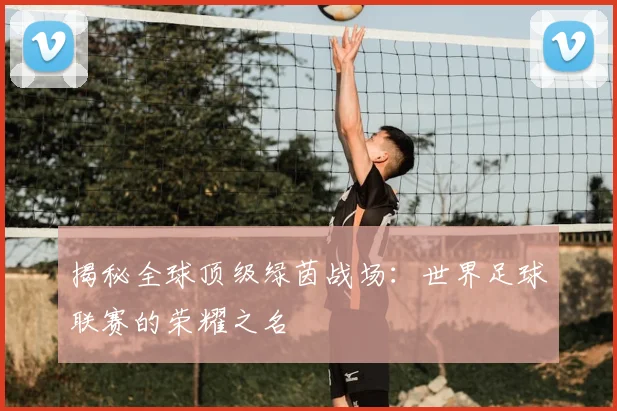 揭秘全球顶级绿茵战场:世界足球联赛的荣耀之名